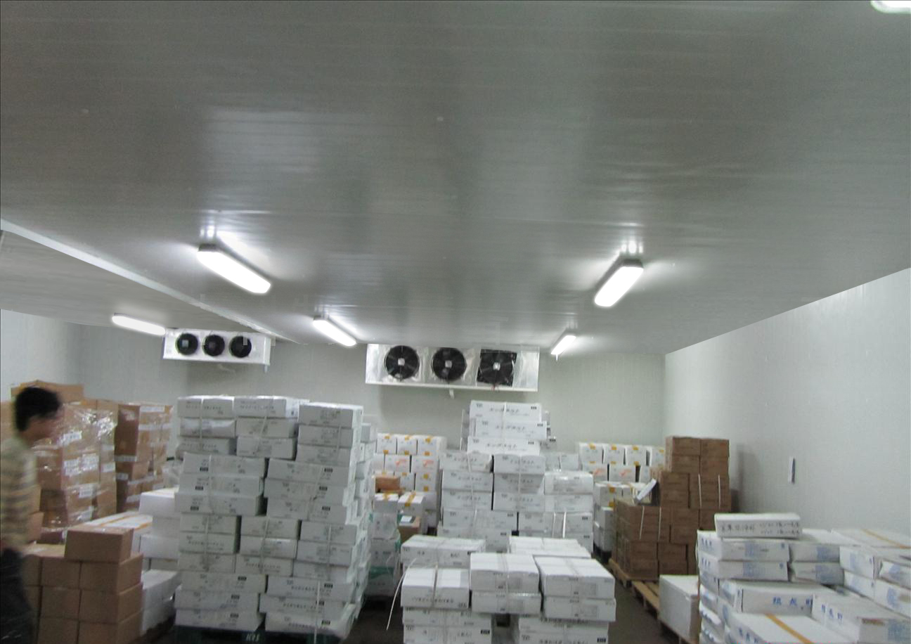 Cuarto Frío Para Pescado